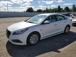 Salvage cars for sale from Copart Portland, OR: 2017 Hyundai Sonata Hybrid