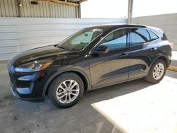 Ford Escape se salvage cars for sale: 2020 Ford Escape SE