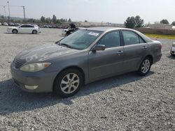 Salvage cars for sale at Mentone, CA auction: 2005 Toyota Camry LE