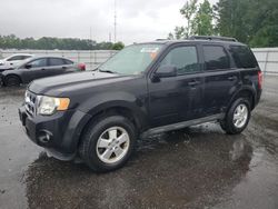 Salvage cars for sale at Dunn, NC auction: 2011 Ford Escape XLT