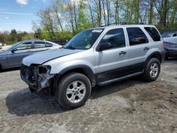 Salvage cars for sale at Candia, NH auction: 2006 Ford Escape XLT