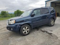 Honda Pilot salvage cars for sale: 2011 Honda Pilot EXL