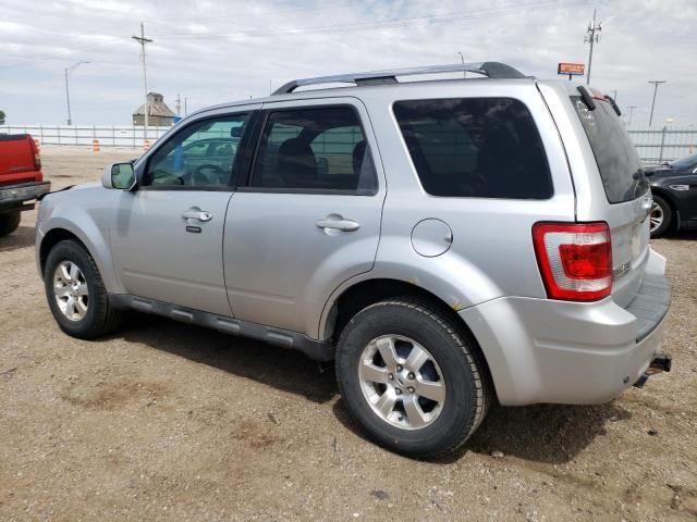 2010 Ford Escape Limited