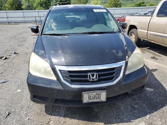 2010 Honda Odyssey EXL