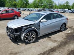 Salvage cars for sale at Marlboro, NY auction: 2013 Hyundai Sonata SE