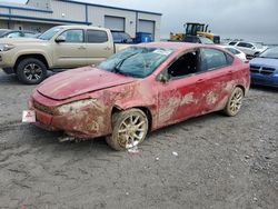 Salvage cars for sale at Earlington, KY auction: 2013 Dodge Dart SXT