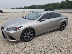 Clean Title Cars for sale at auction: 2019 Lexus ES 350