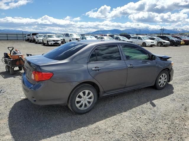 2010 Toyota Corolla Base