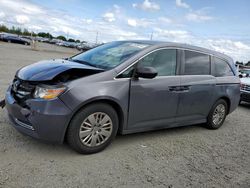 Honda salvage cars for sale: 2014 Honda Odyssey LX