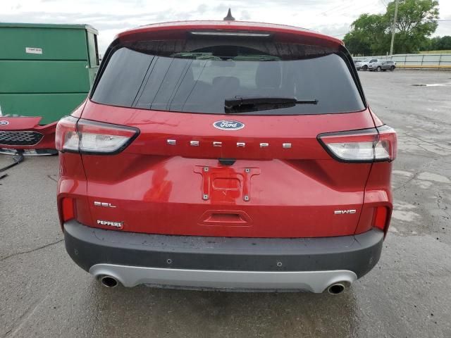 2022 Ford Escape SEL