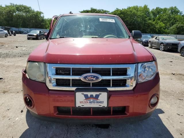 2010 Ford Escape XLT