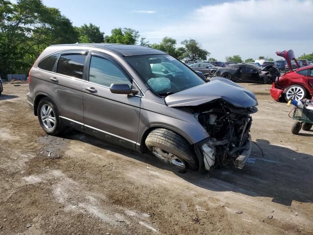 2010 Honda CR-V EXL