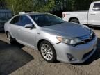 2013 Toyota Camry Hybrid