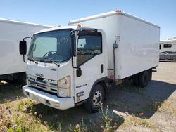 Salvage trucks for sale at Martinez, CA auction: 2014 Isuzu NPR