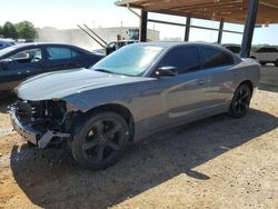 Salvage cars for sale at Tanner, AL auction: 2017 Dodge Charger SE