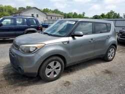 Salvage cars for sale at York Haven, PA auction: 2014 KIA Soul