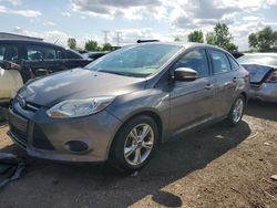 Salvage cars for sale at auction: 2014 Ford Focus SE