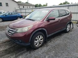 Salvage cars for sale at York Haven, PA auction: 2012 Honda CR-V EX