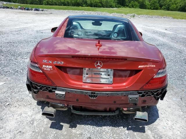 2015 Mercedes-Benz SLK 250