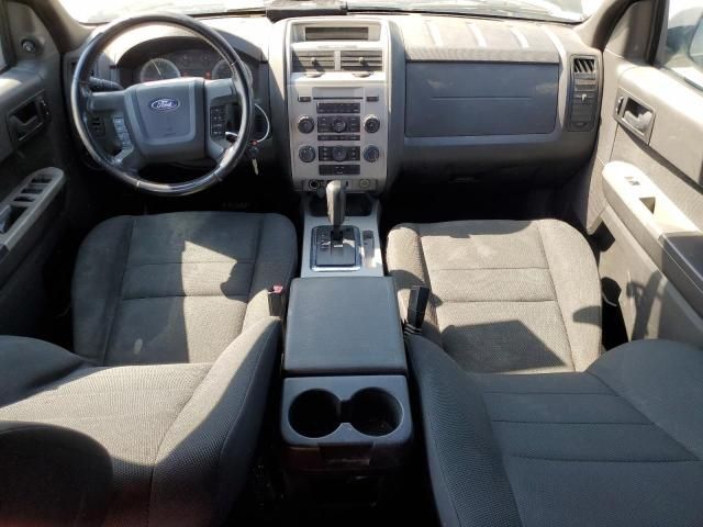 2009 Ford Escape XLT