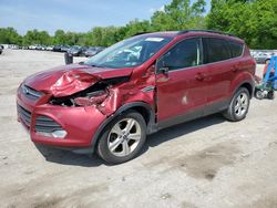 Salvage cars for sale at Ellwood City, PA auction: 2015 Ford Escape SE