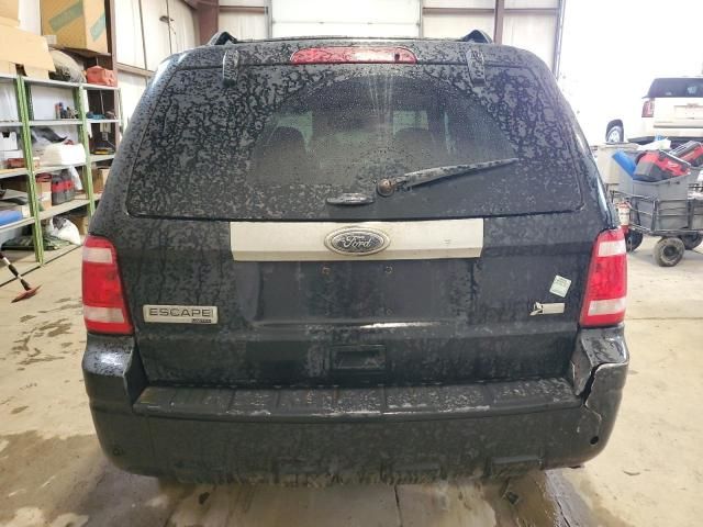 2011 Ford Escape Limited