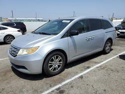 Salvage cars for sale at Van Nuys, CA auction: 2011 Honda Odyssey EXL