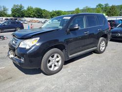 Salvage cars for sale at Grantville, PA auction: 2010 Lexus GX 460