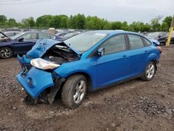 Salvage cars for sale at Chalfont, PA auction: 2013 Ford Focus SE