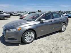 Salvage cars for sale from Copart Antelope, CA: 2014 Ford Fusion SE Hybrid