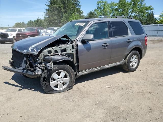 2009 Ford Escape XLT