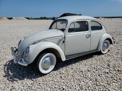 Salvage cars for sale at Temple, TX auction: 1964 Volkswagen Beetle
