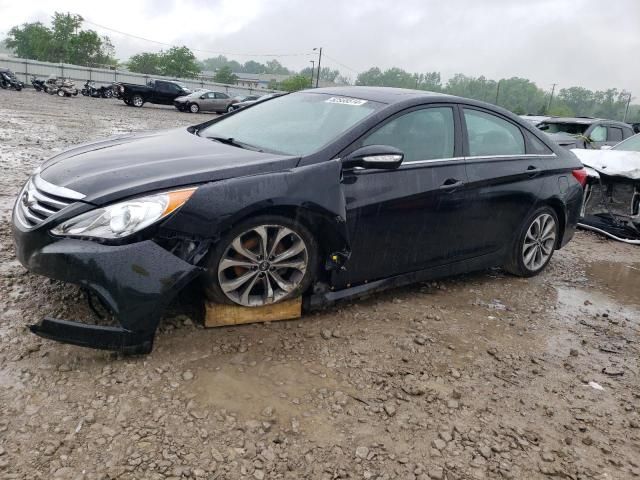 2014 Hyundai Sonata SE