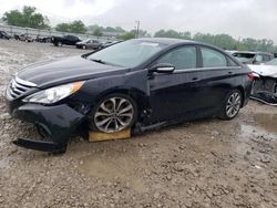 Salvage Cars with No Bids Yet For Sale at auction: 2014 Hyundai Sonata SE