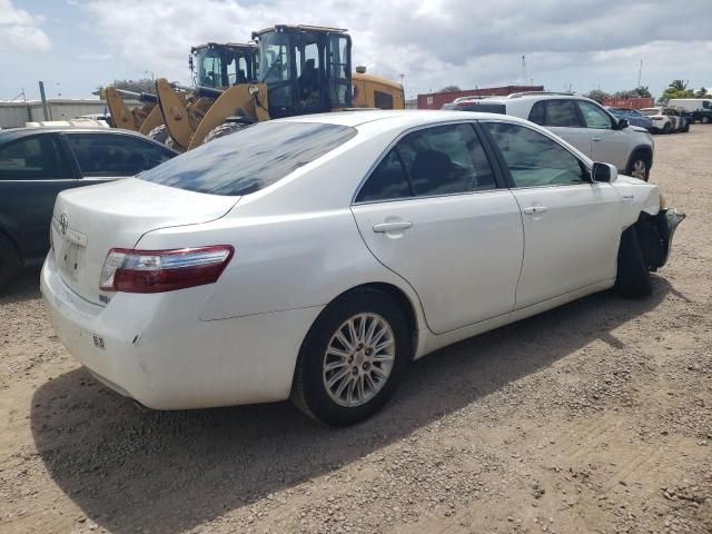 2009 Toyota Camry Hybrid