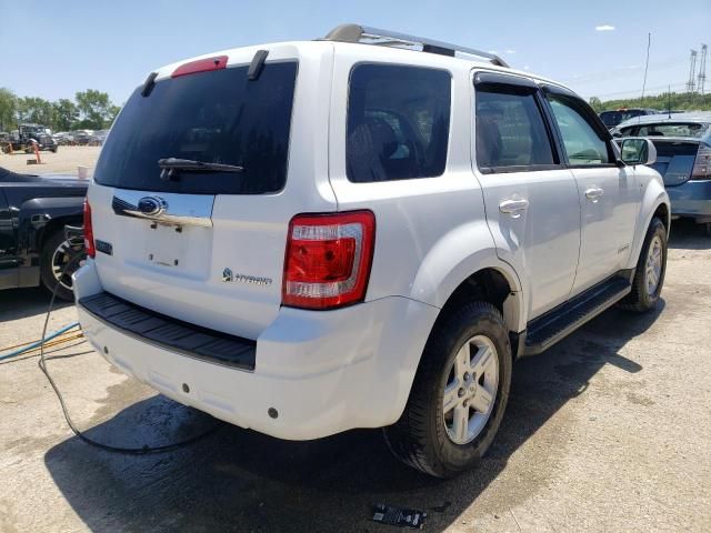 2008 Ford Escape HEV