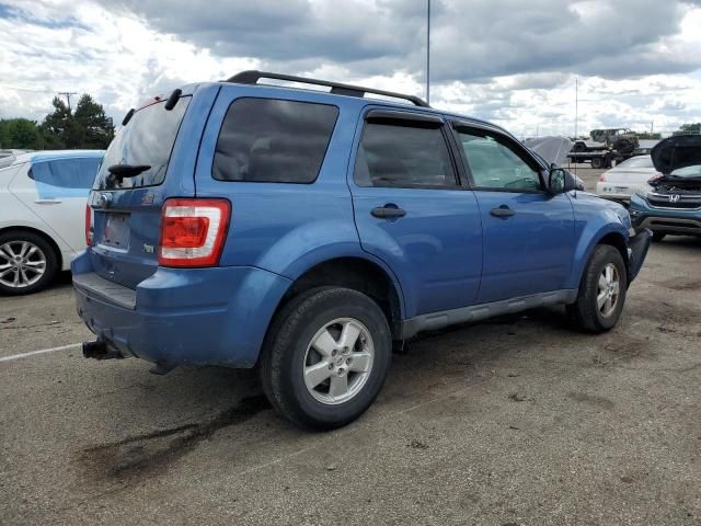 2010 Ford Escape XLT