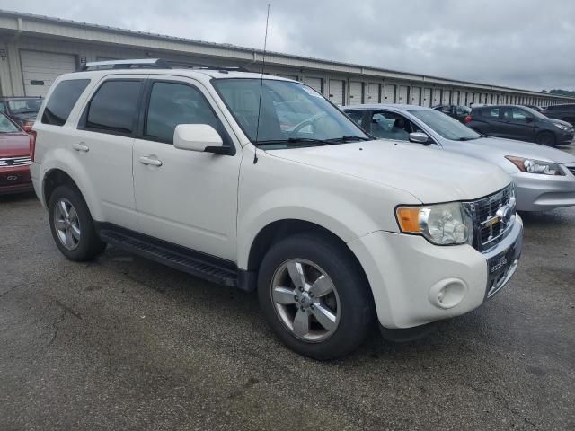 2009 Ford Escape Limited