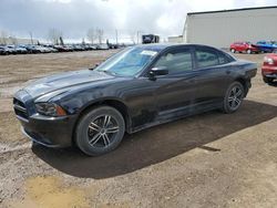 Salvage cars for sale at Rocky View County, AB auction: 2011 Dodge Charger