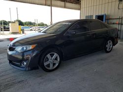 Salvage cars for sale at Homestead, FL auction: 2012 Toyota Camry Base