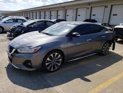 Nissan salvage cars for sale: 2019 Nissan Maxima S