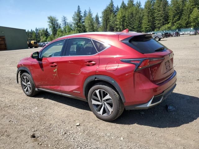 2020 Lexus NX 300H