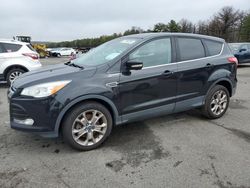 Salvage cars for sale at Brookhaven, NY auction: 2013 Ford Escape SEL