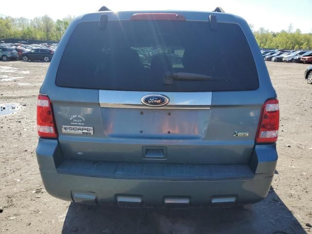 2010 Ford Escape Limited