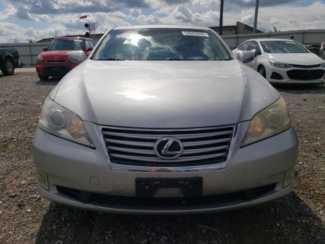 2010 Lexus ES 350