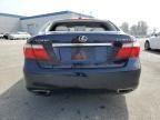 2007 Lexus LS 460