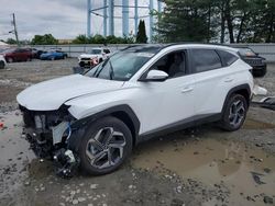 Salvage cars for sale at Windsor, NJ auction: 2024 Hyundai Tucson SEL Convenience