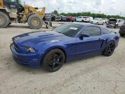 Salvage cars for sale at Indianapolis, IN auction: 2013 Ford Mustang GT