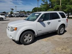 Ford Escape Hybrid salvage cars for sale: 2011 Ford Escape Hybrid