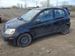 Salvage cars for sale at Montreal Est, QC auction: 2005 Toyota Echo